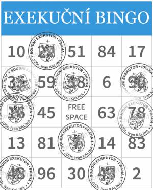 Exekuční bingo, které Patuik vkládá k životopisu jako přílohu