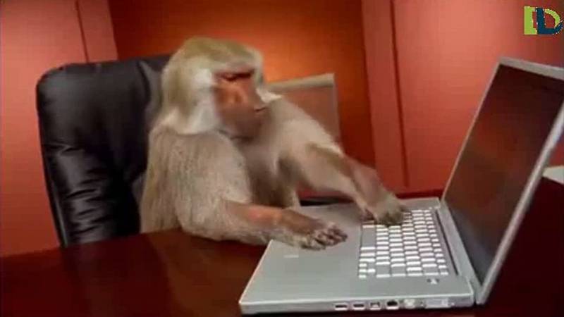 Umělecké ztvárnění právníka, který je vizuálně důvěryhodný pro jednání s dalšími makaky.